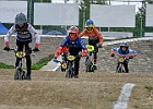 921H6590 bmx-tc-11-9-21